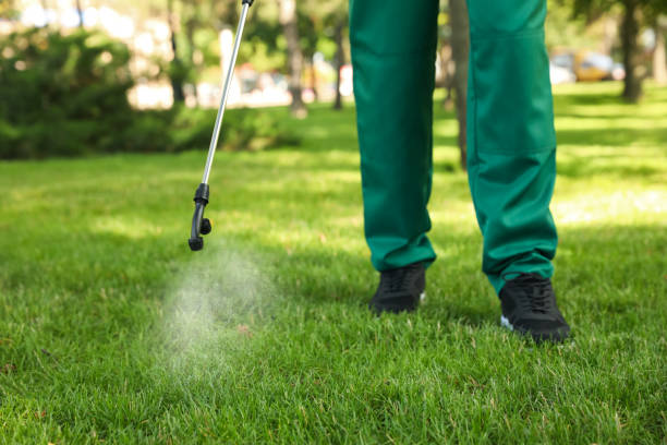 Best Best Pest Control Companies  in Hannahs Mill, GA