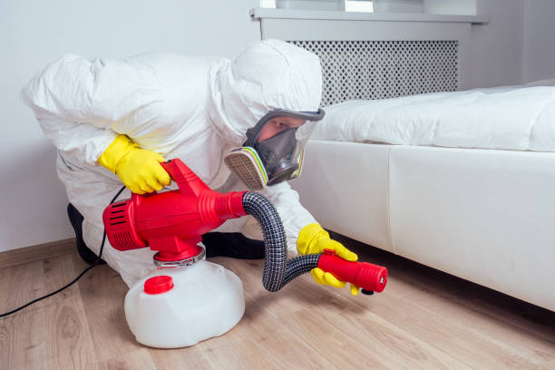 Best Pest Control Near Me in Hannahs Mill, GA