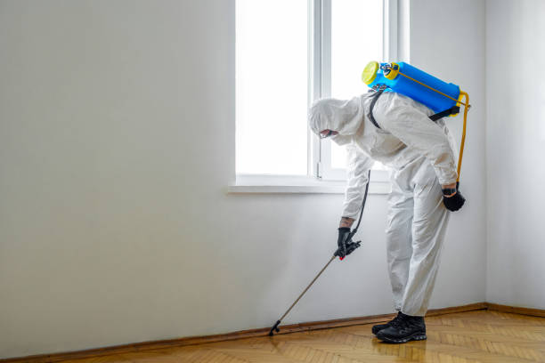 Best Wasp Removal Services  in Hannahs Mill, GA