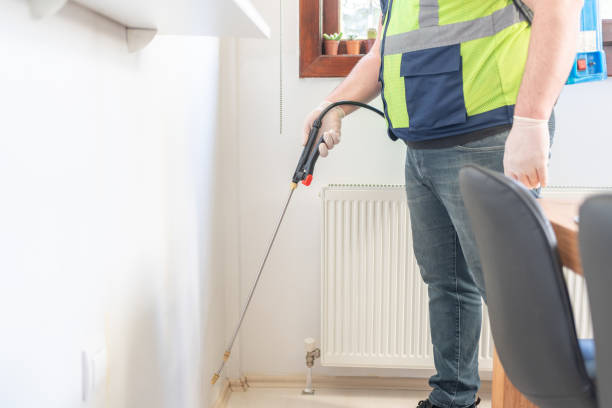 Professional Pest Control in Hannahs Mill, GA