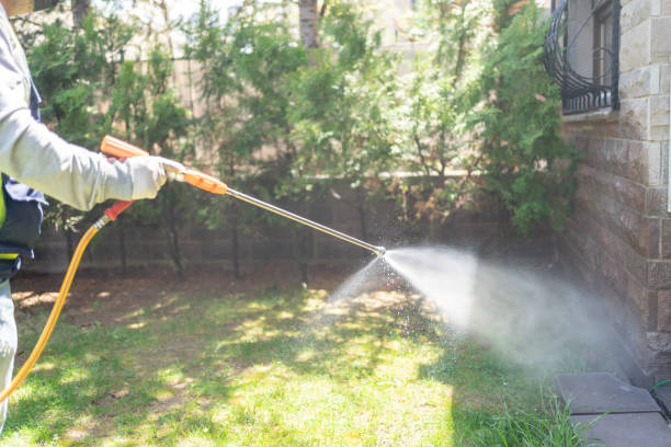 Professional Pest Control in Hannahs Mill, GA