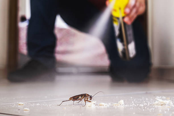 Best Affordable Pest Control Services  in Hannahs Mill, GA