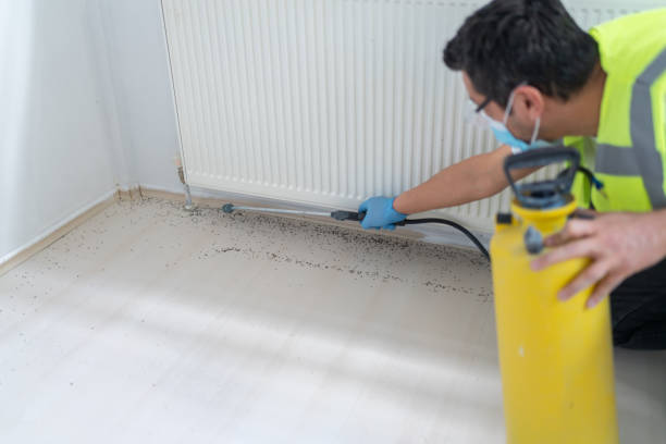 Best Local Pest Control Services  in Hannahs Mill, GA