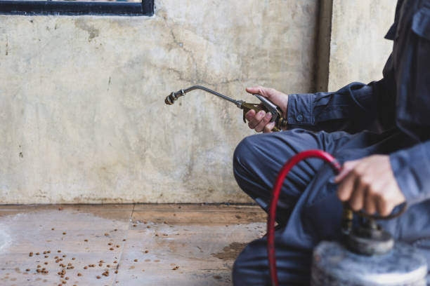 Best Pest Removal Services  in Hannahs Mill, GA