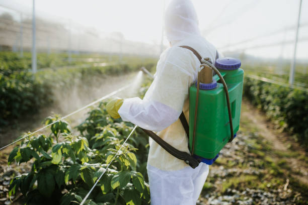 Best Best Pest Control Near Me  in Hannahs Mill, GA